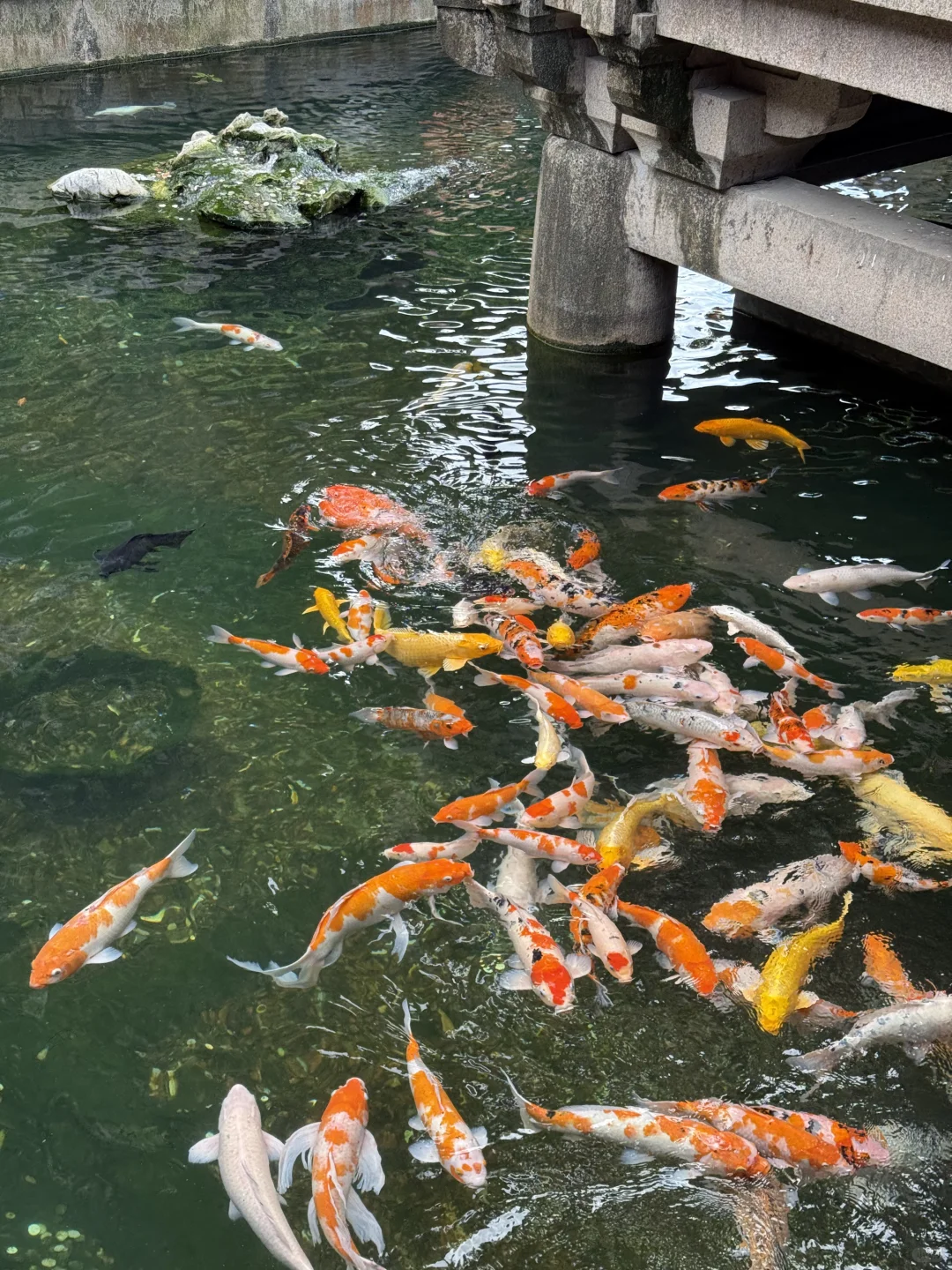 苏州｜📍姑苏城外寒山寺🎐雨后live图直出