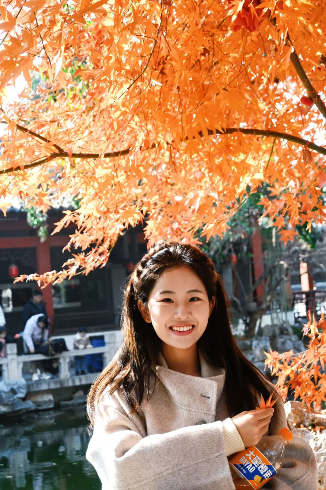 土木研究生出离北京计划（12/50）📍徐州