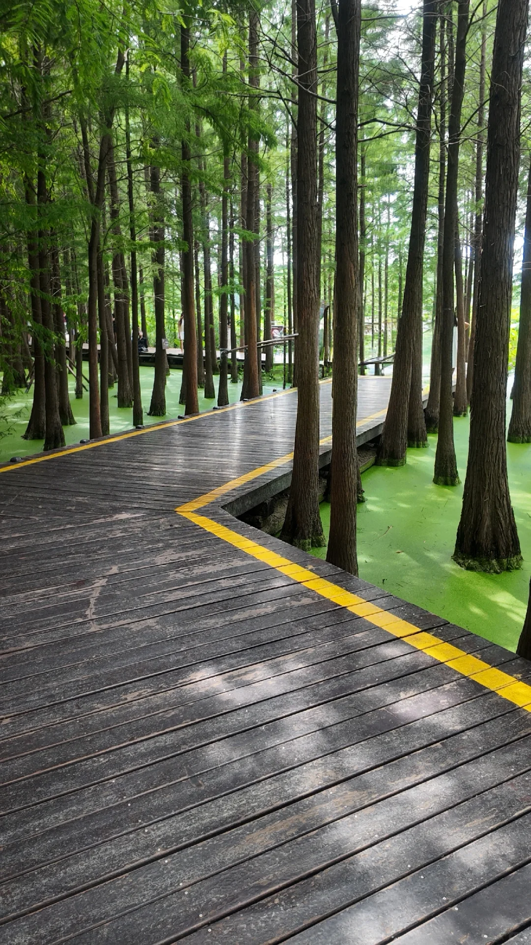 济南到徐州一日游