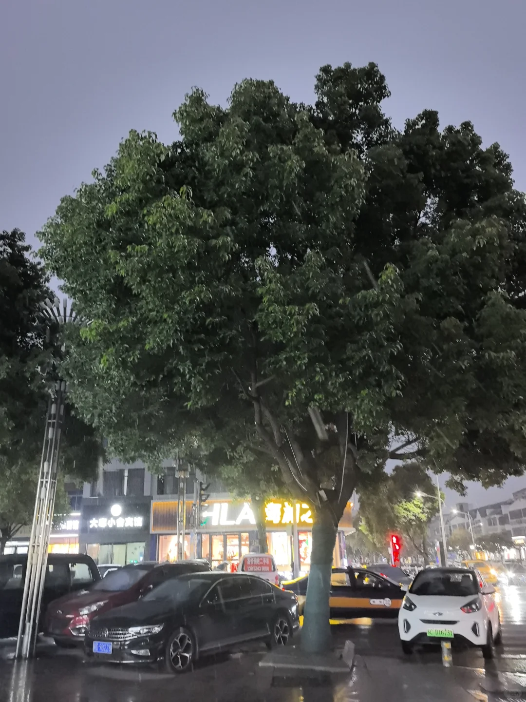 ❄️徐州的雪终于来了！❄️