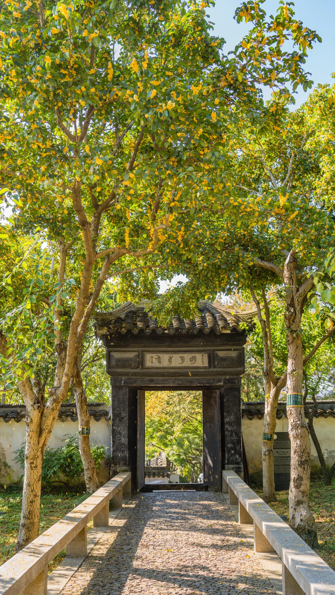 永远惊叹于老祖宗骨子里不灭的极致审美！！