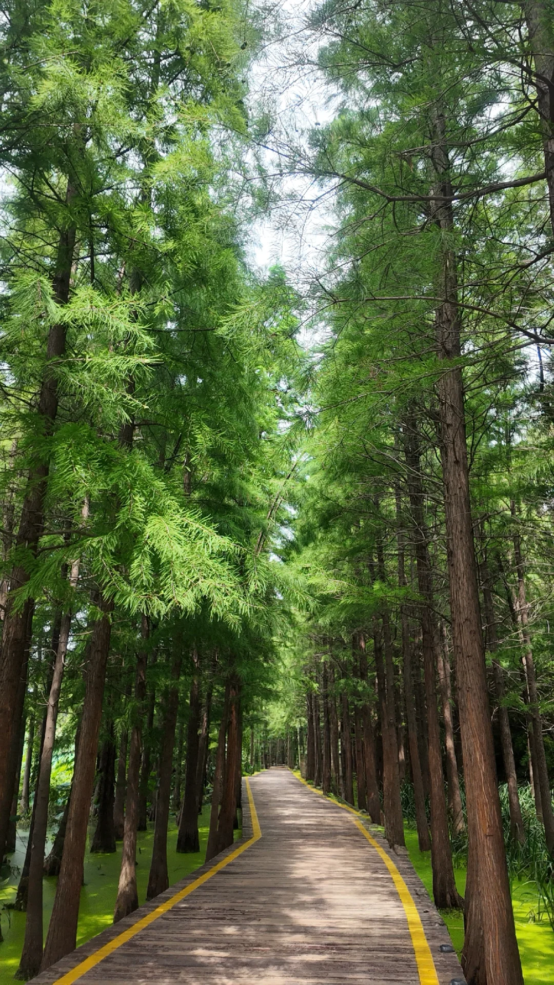 济南到徐州一日游