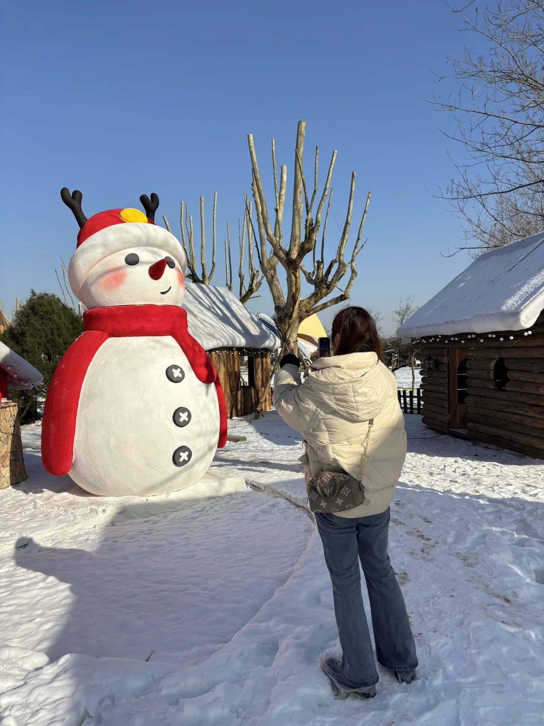 我在徐州雪乡和内蒙狼王合影了