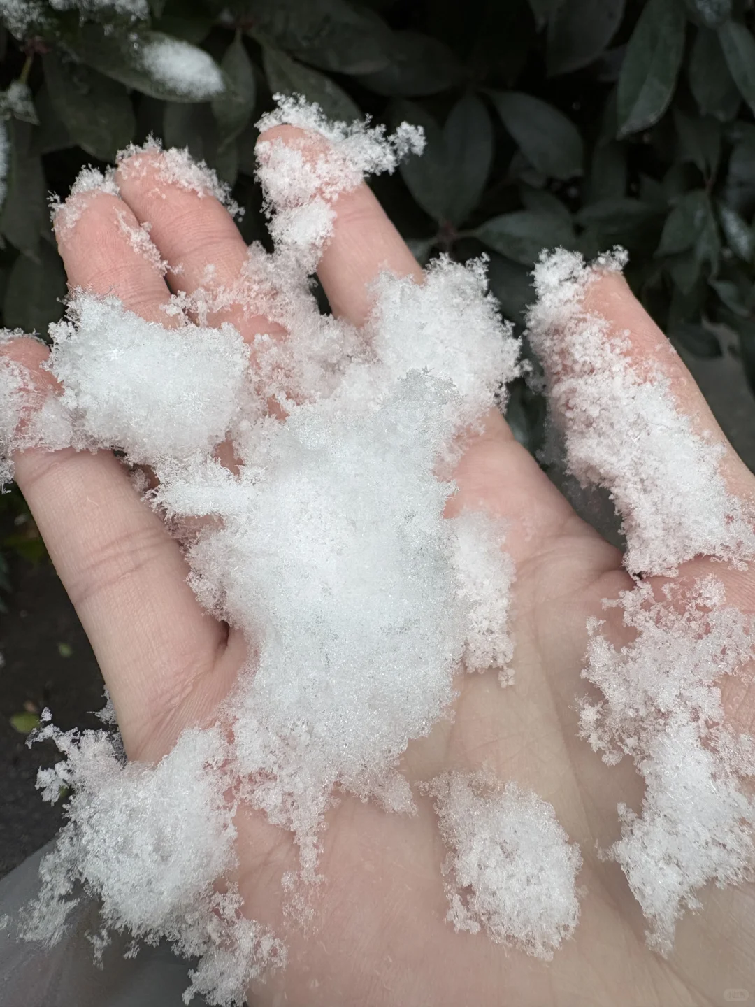 徐州的人工降雪