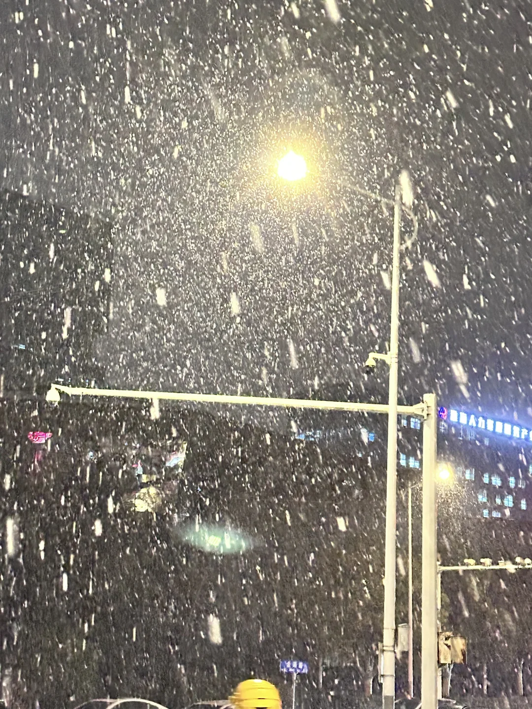 一出徐州东，被雪惊艳了