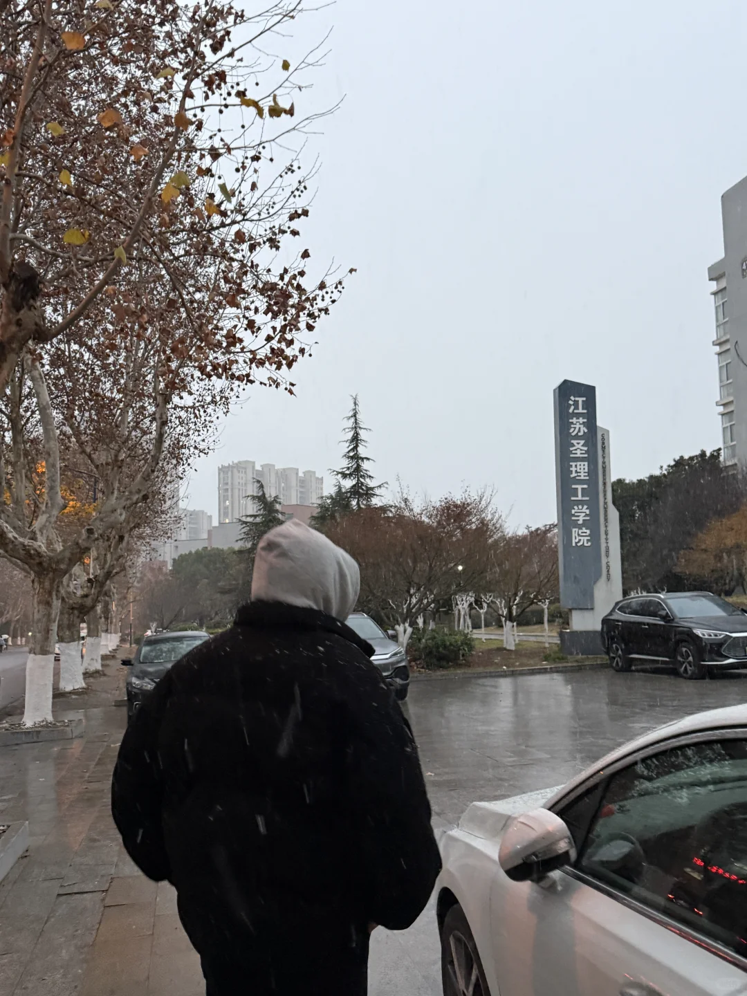 居然看见徐州下雪了❄️