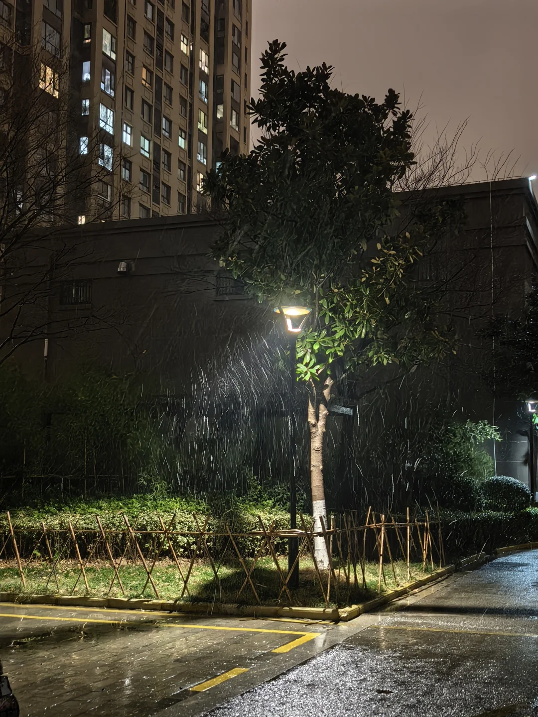 徐州今天的雪🌨️