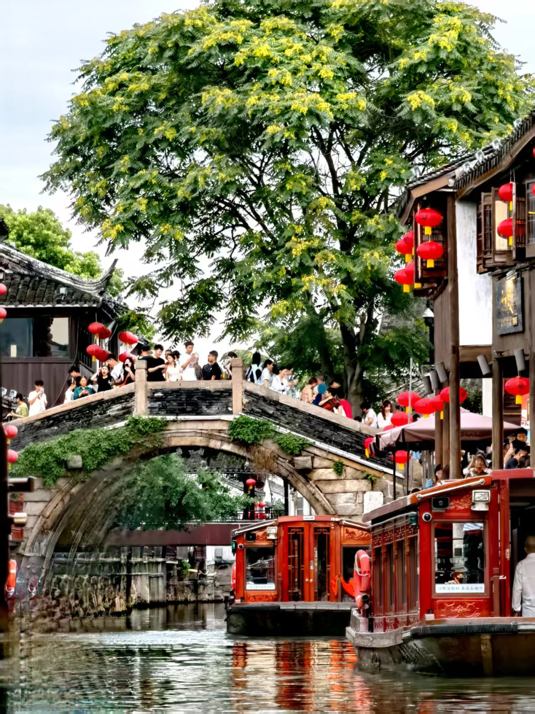 江南春｜“一朝入姑苏,满眼是江南”