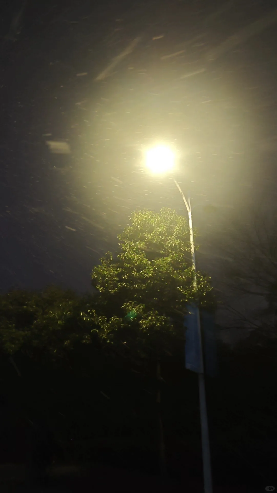 徐州初雪当天，你们都在谁身边。