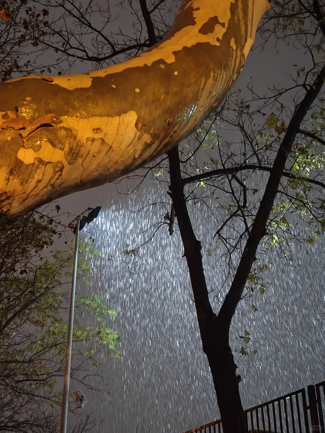 坐标jsnu，下雪啦☃️