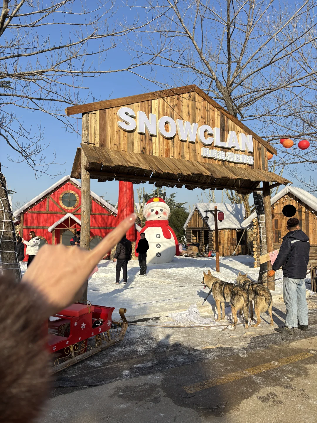 我在徐州雪乡和内蒙狼王合影了