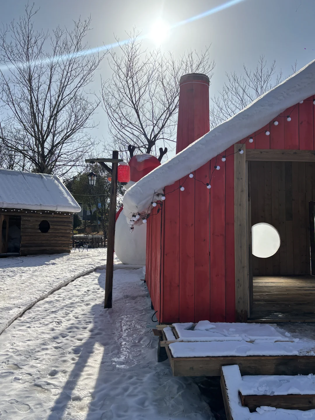 我在徐州雪乡和内蒙狼王合影了