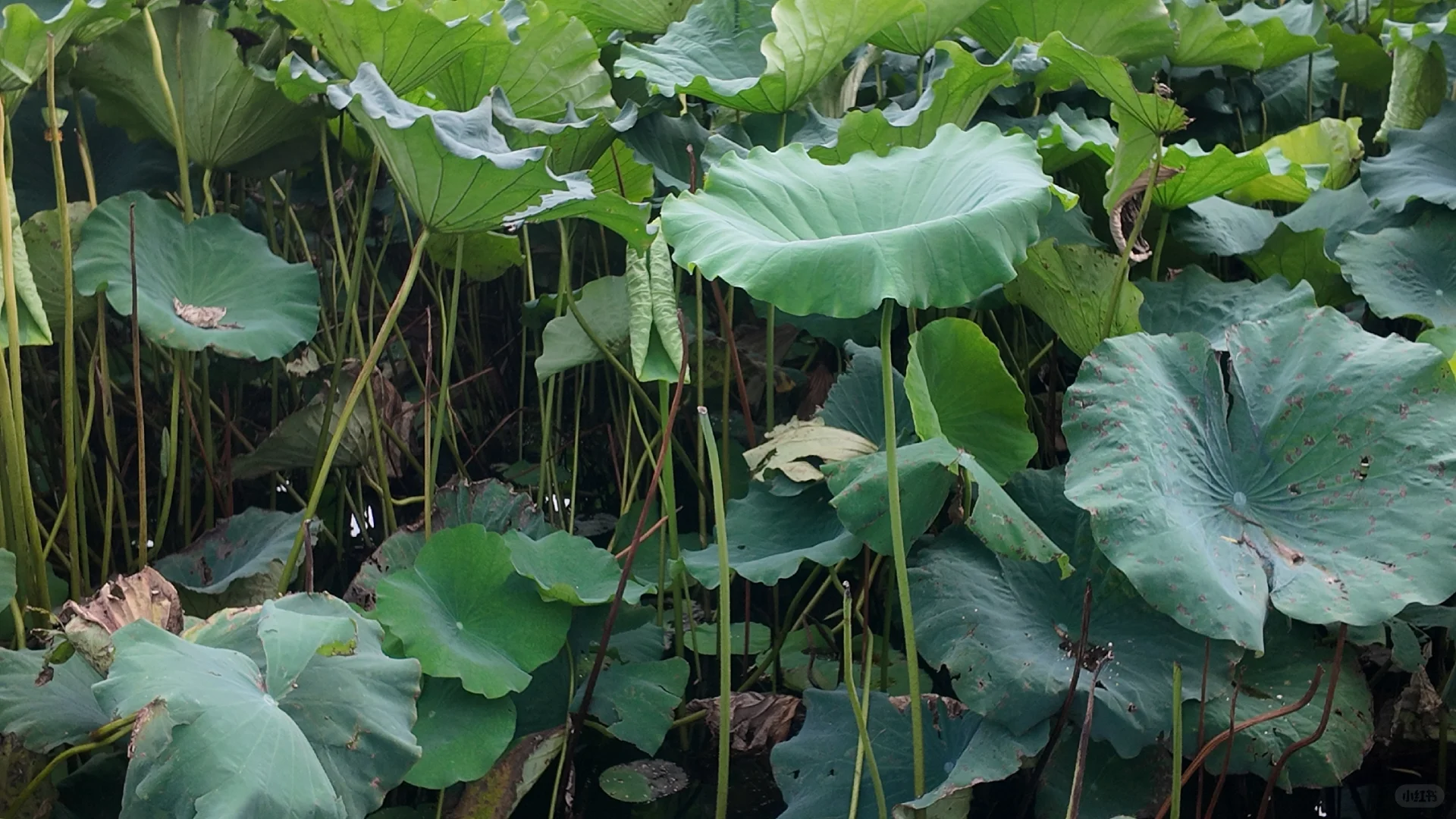 济南到徐州一日游