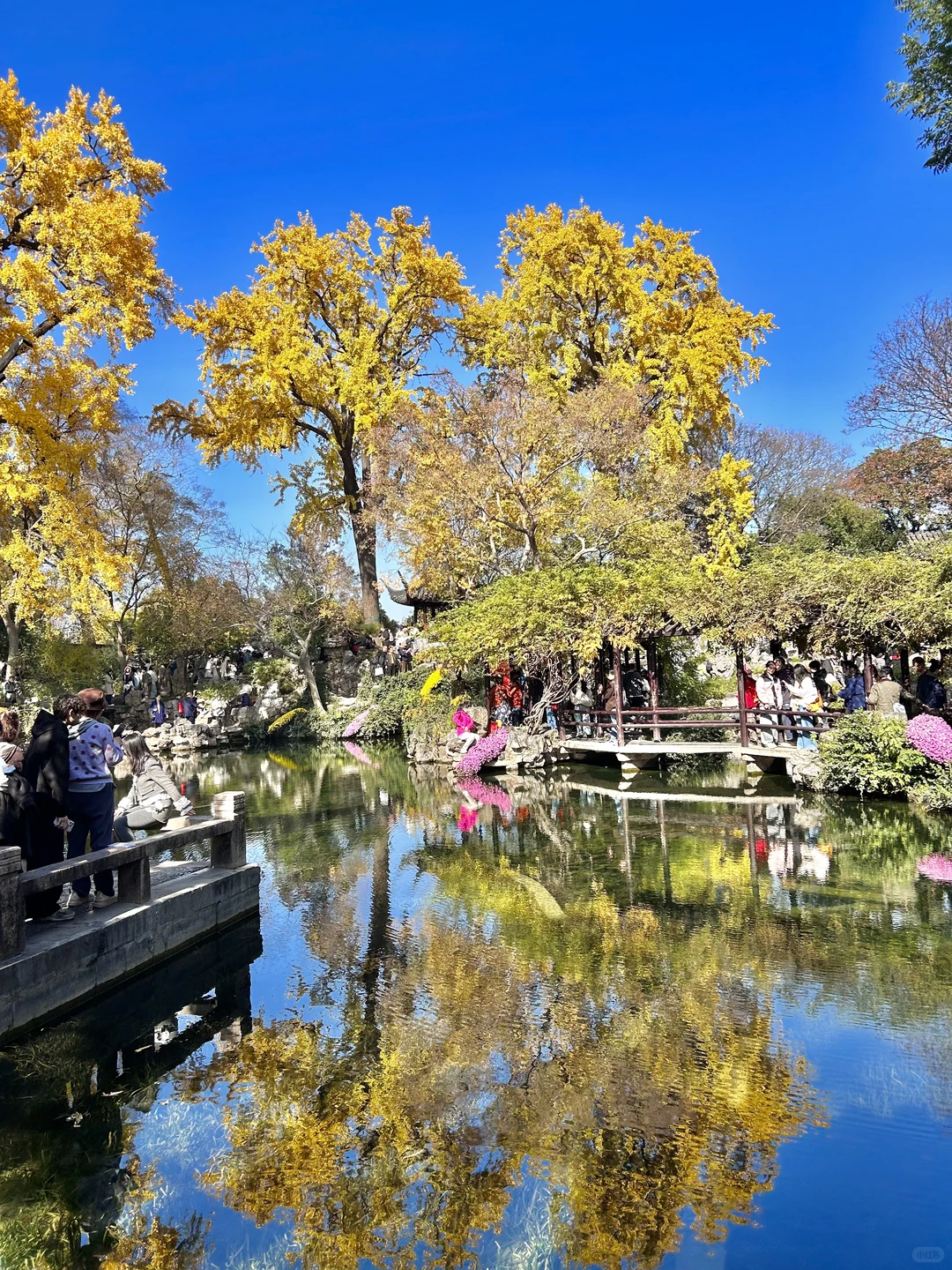 秋日园林看苏州-留园实拍