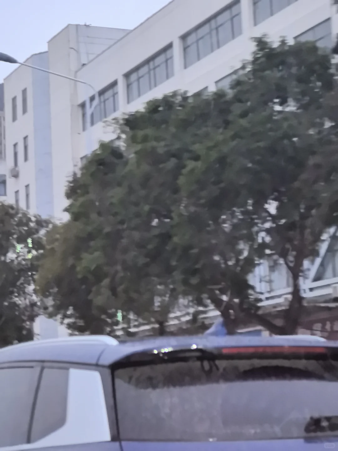 ❄️徐州的雪终于来了！❄️