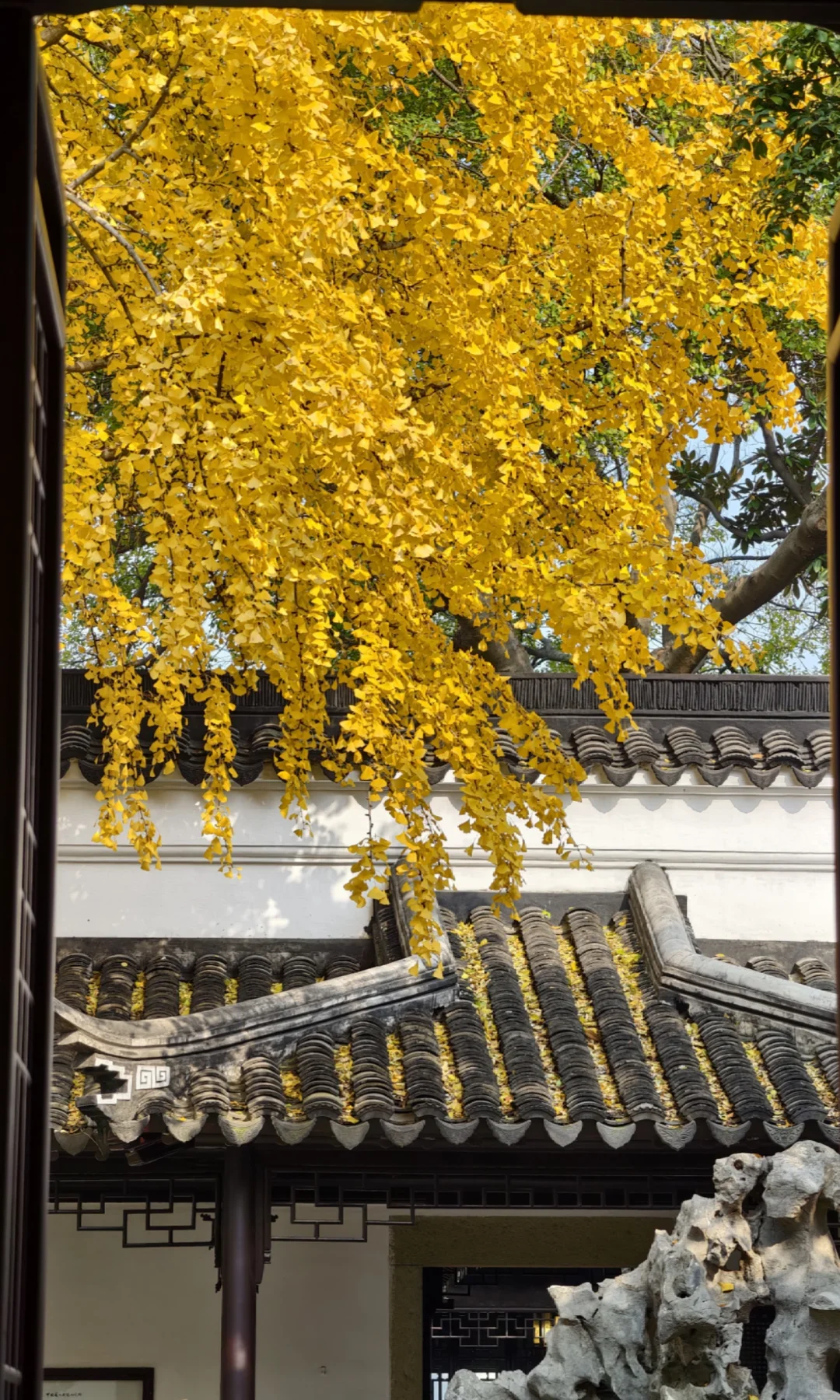 永远惊叹于老祖宗骨子里不灭的极致审美！！