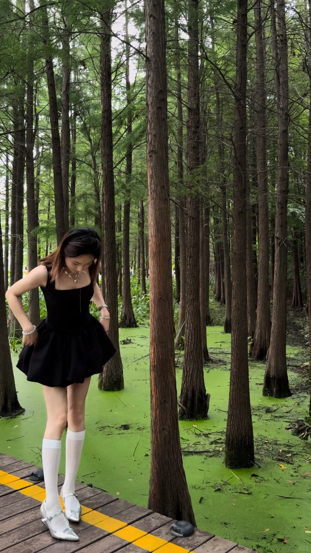 🍵 𝓶𝓪𝓽𝓬𝓱𝓪 𝓯𝓸𝓻𝓮𝓼𝓽