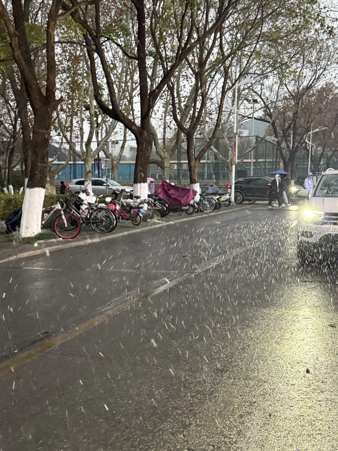 居然看见徐州下雪了❄️