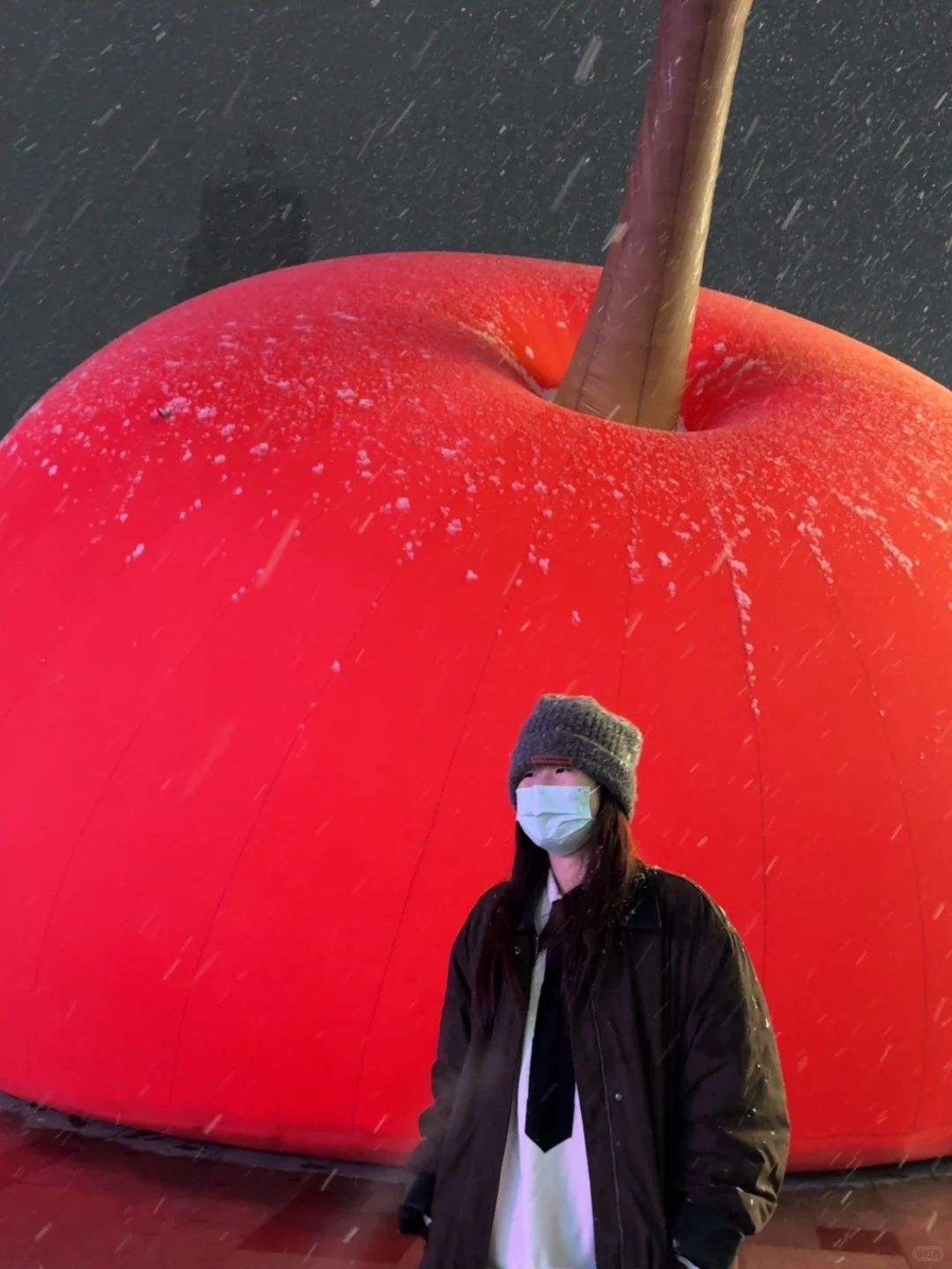 徐州人今天的朋友圈是不是都是下雪了❄️