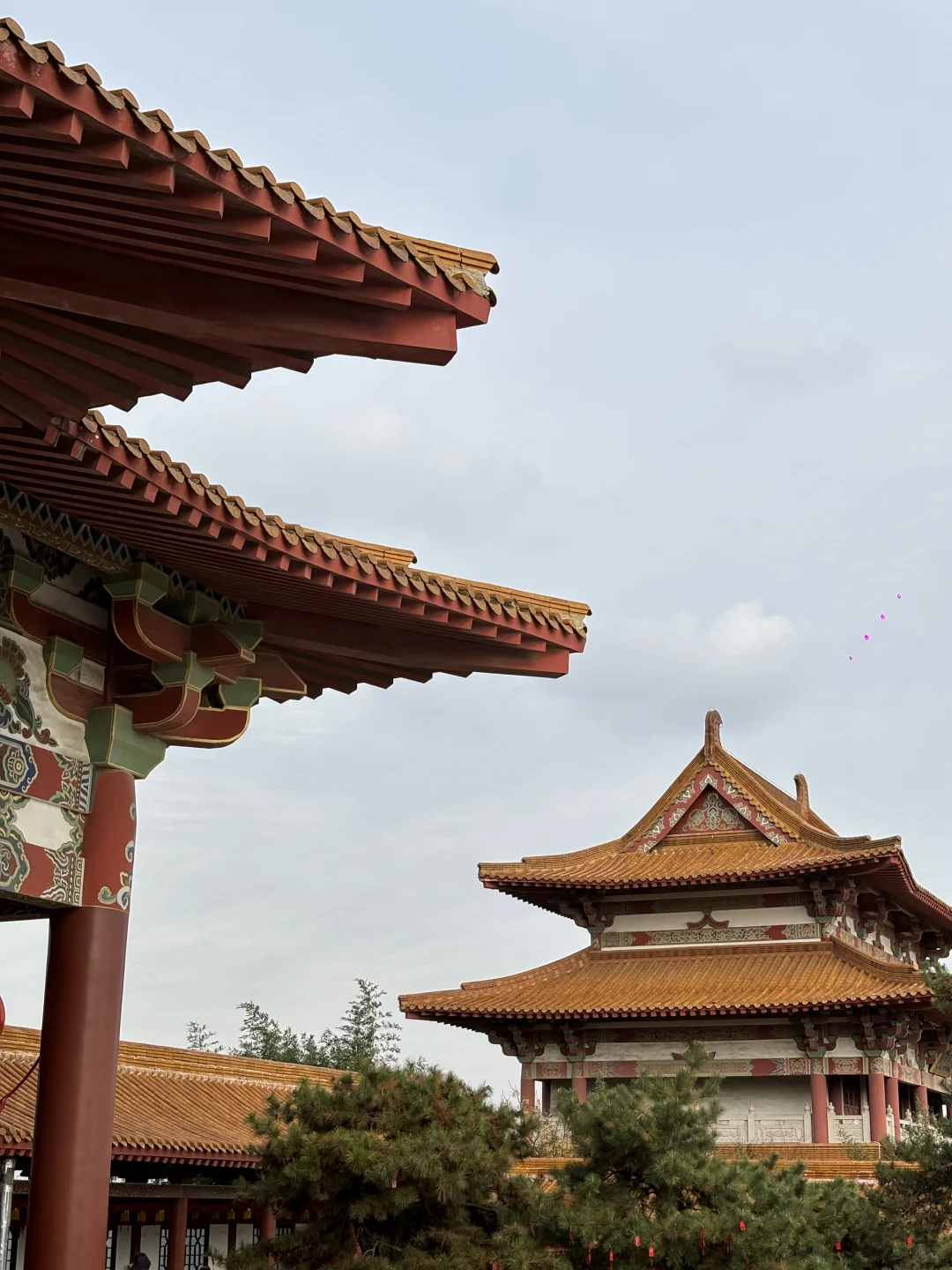 宝莲寺🪷打卡最全攻略来了！