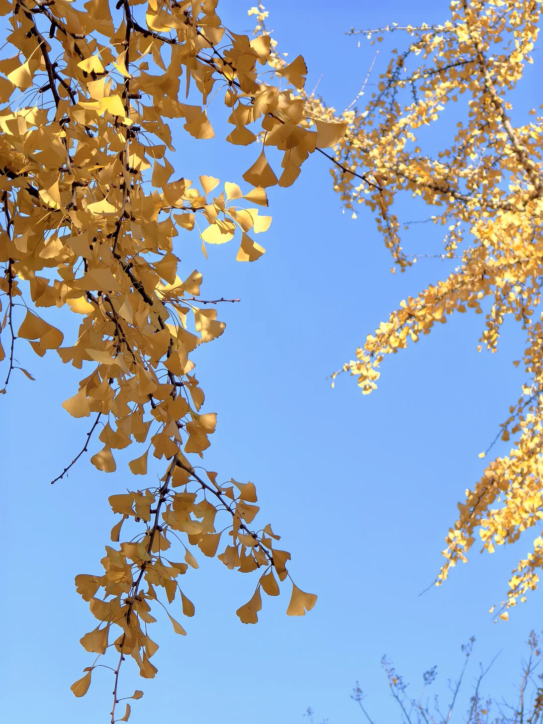 蘇州 下次还来！！