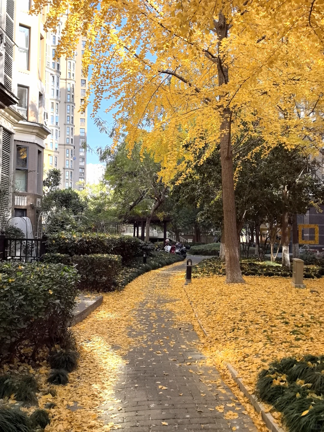 蘇州 下次还来！！