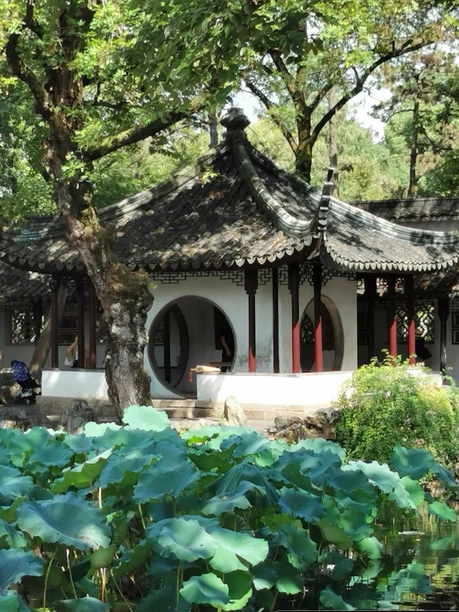 拙政园,别具一格的梧竹幽居亭