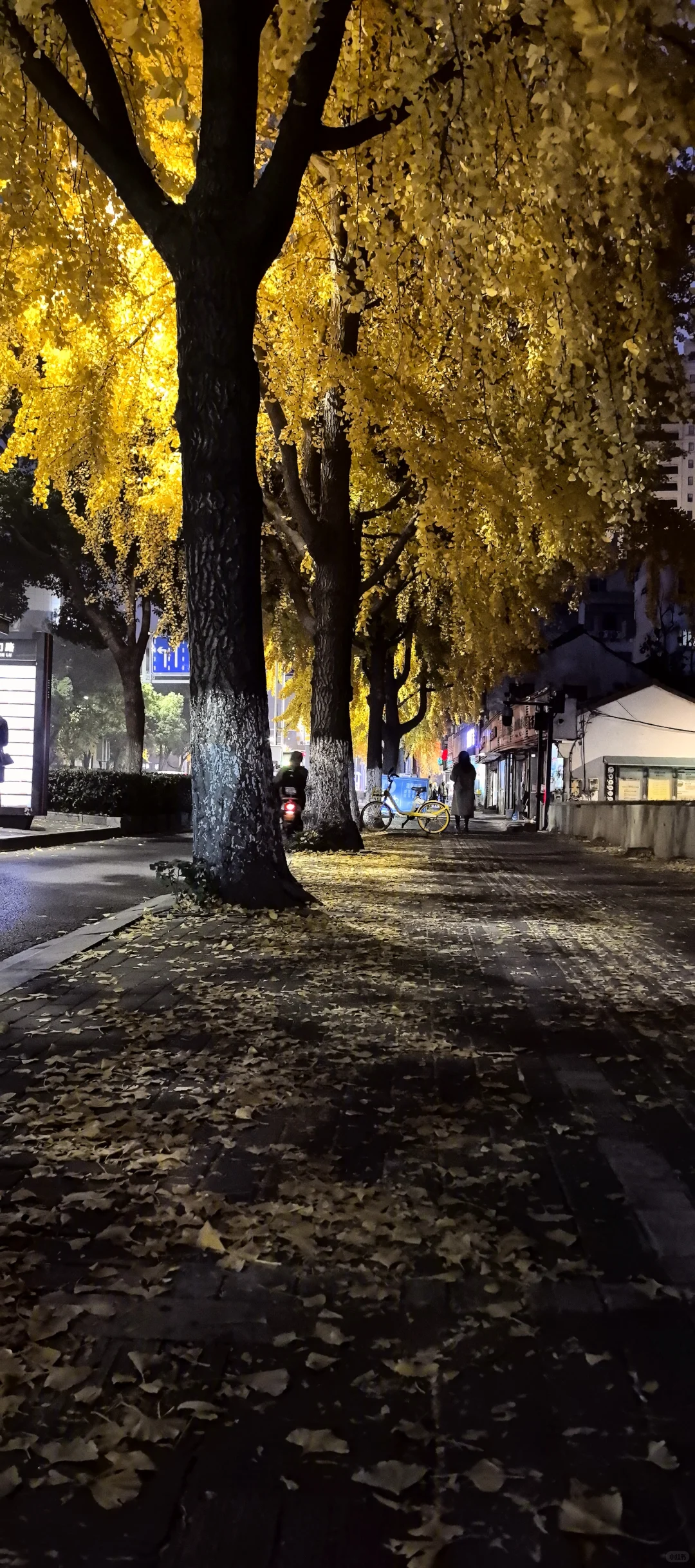 蘇州 下次还来！！