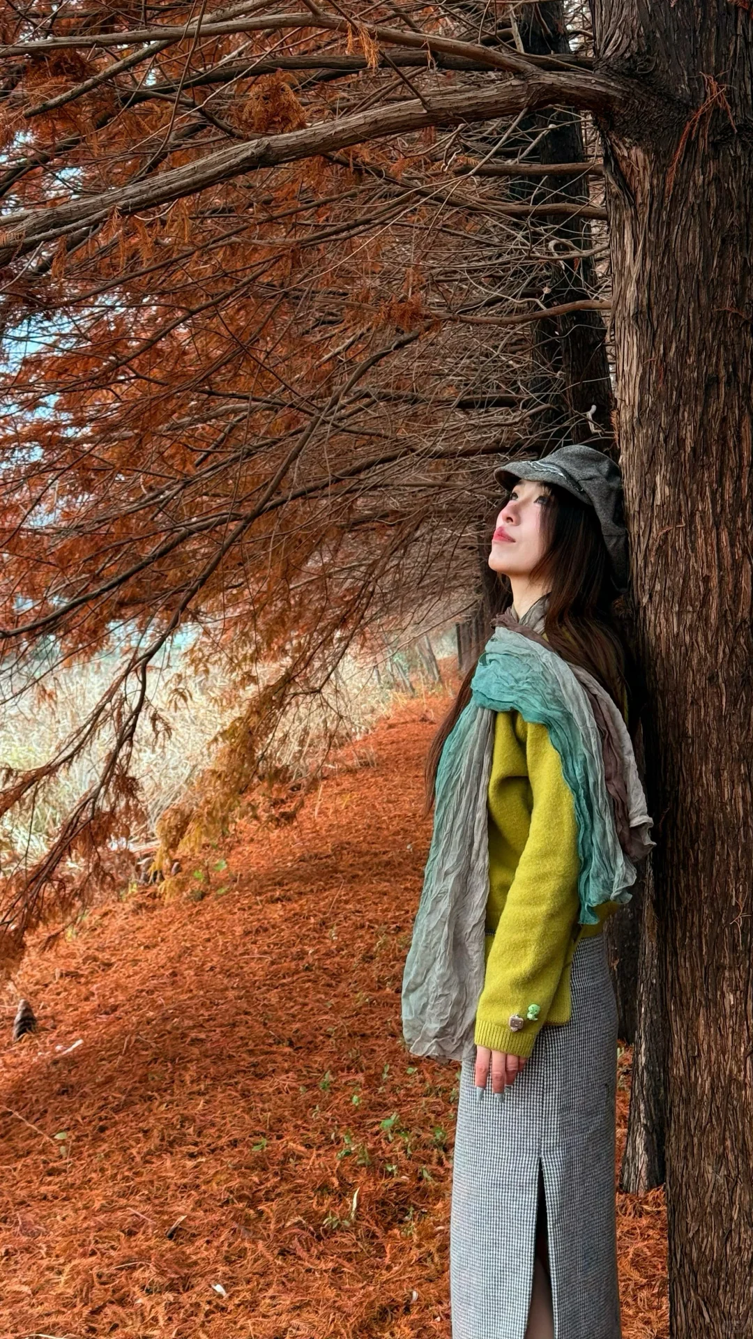 徐州私藏❗❗美到失语的水杉秘境谁懂啊～