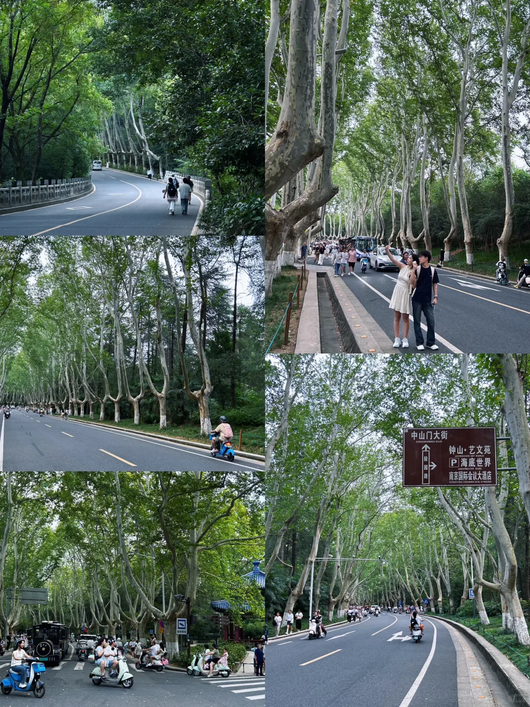 南京｜是南京，更是金陵