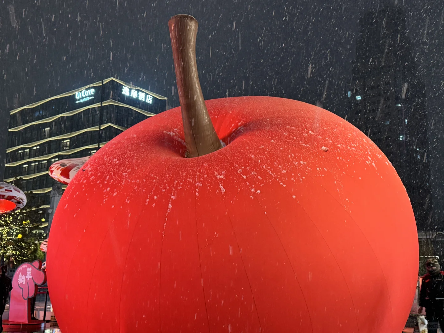 徐州人今天的朋友圈是不是都是下雪了❄️