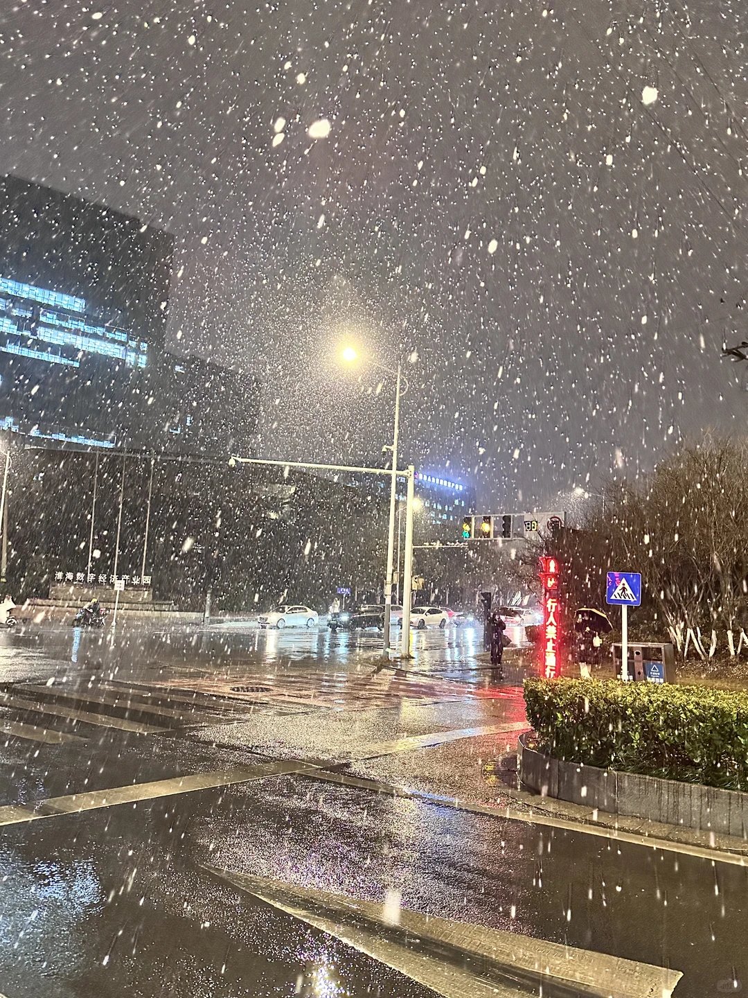 一出徐州东，被雪惊艳了
