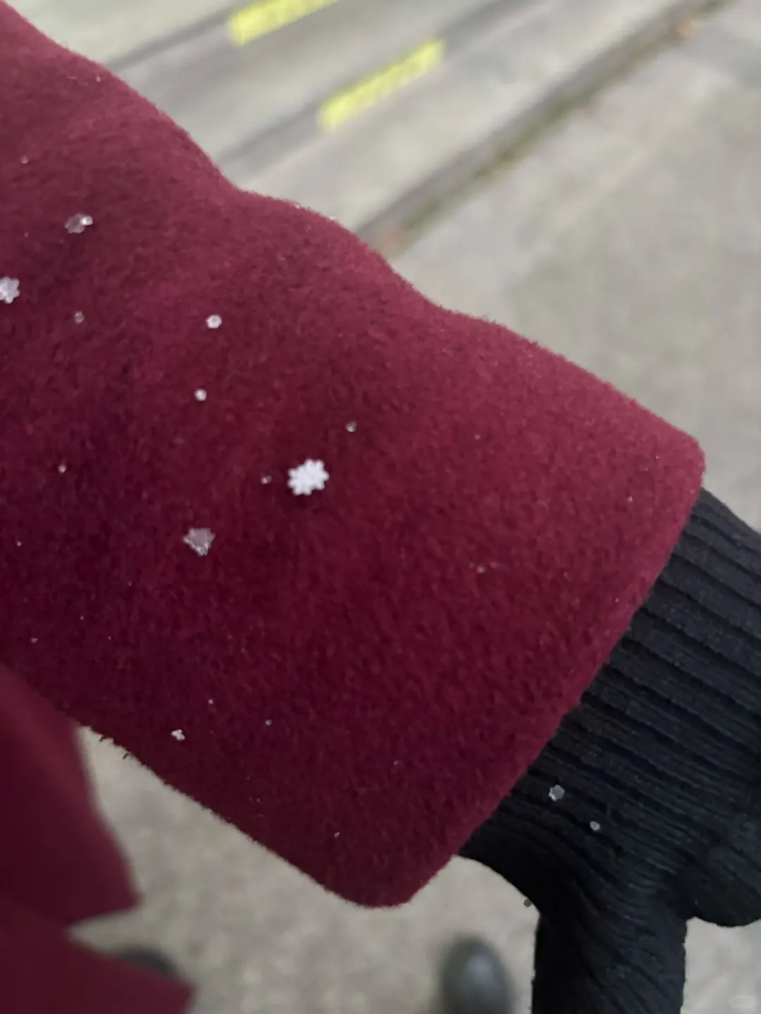 ❄️徐州的雪终于来了！❄️