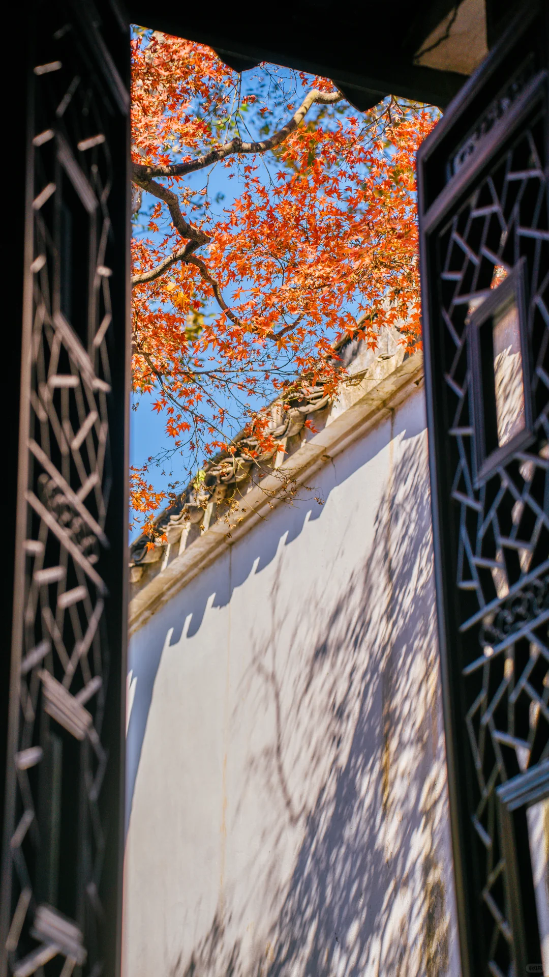 永远惊叹于老祖宗骨子里不灭的极致审美！！