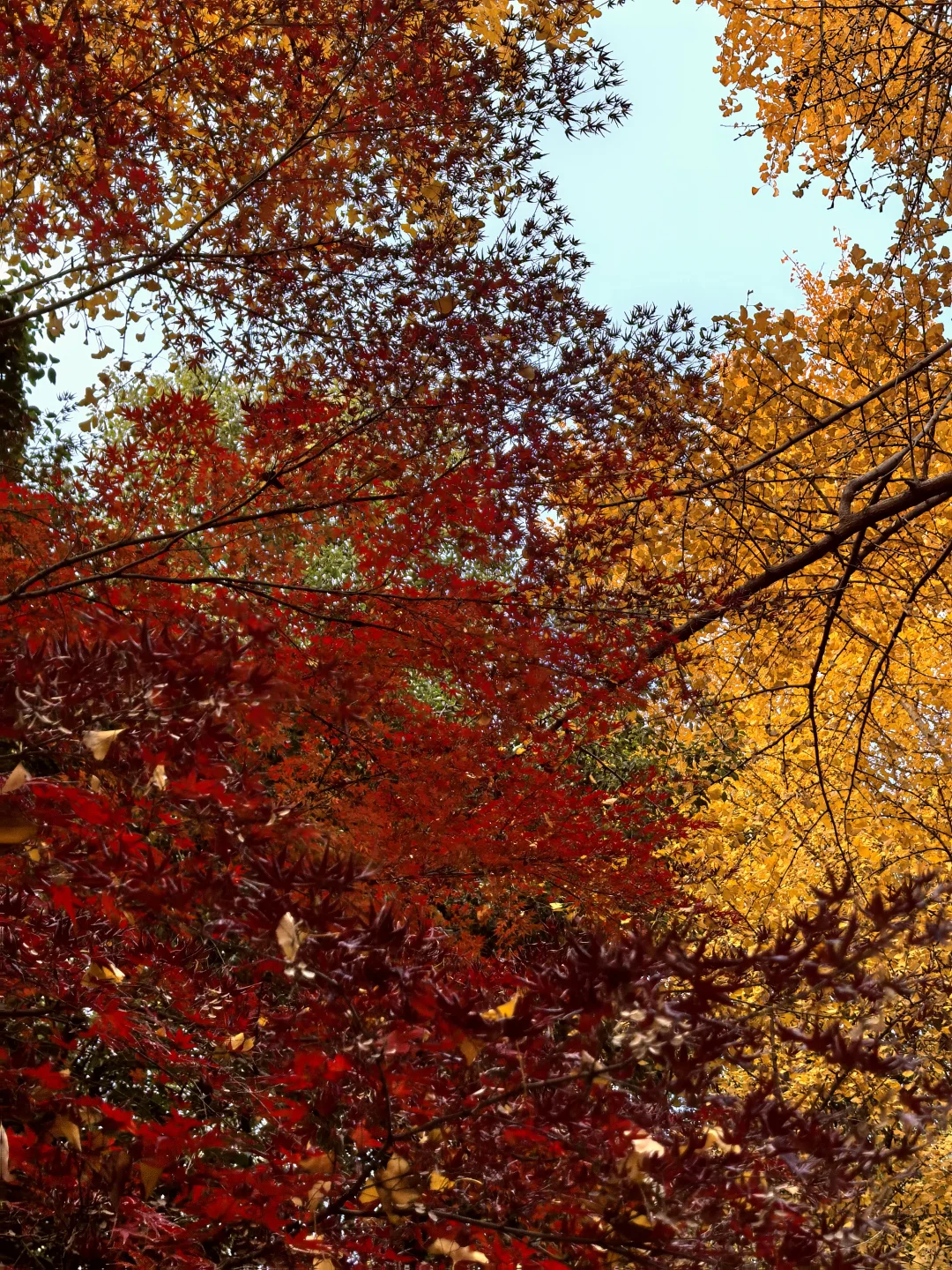 蘇州 下次还来！！