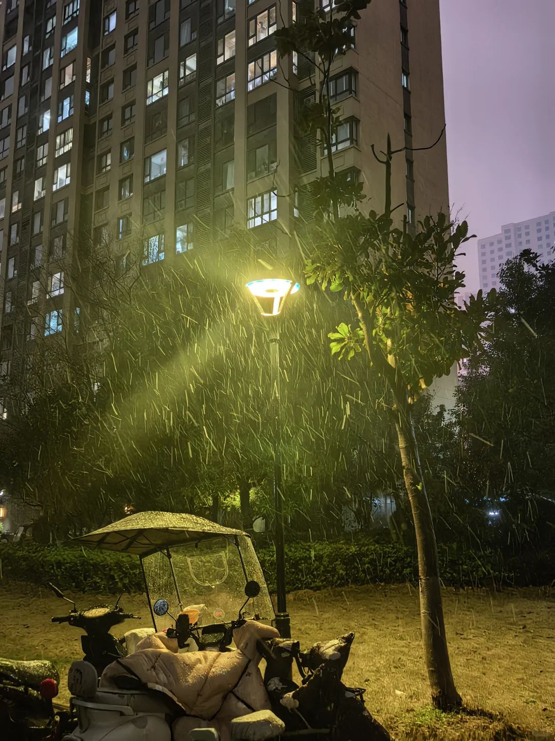 徐州今天的雪🌨️