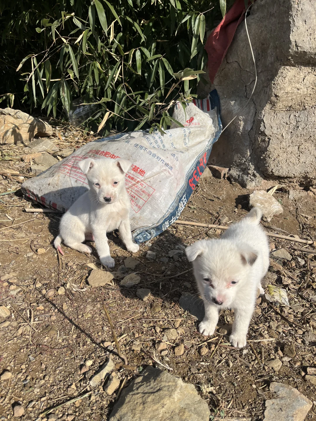 不在川藏，在徐州