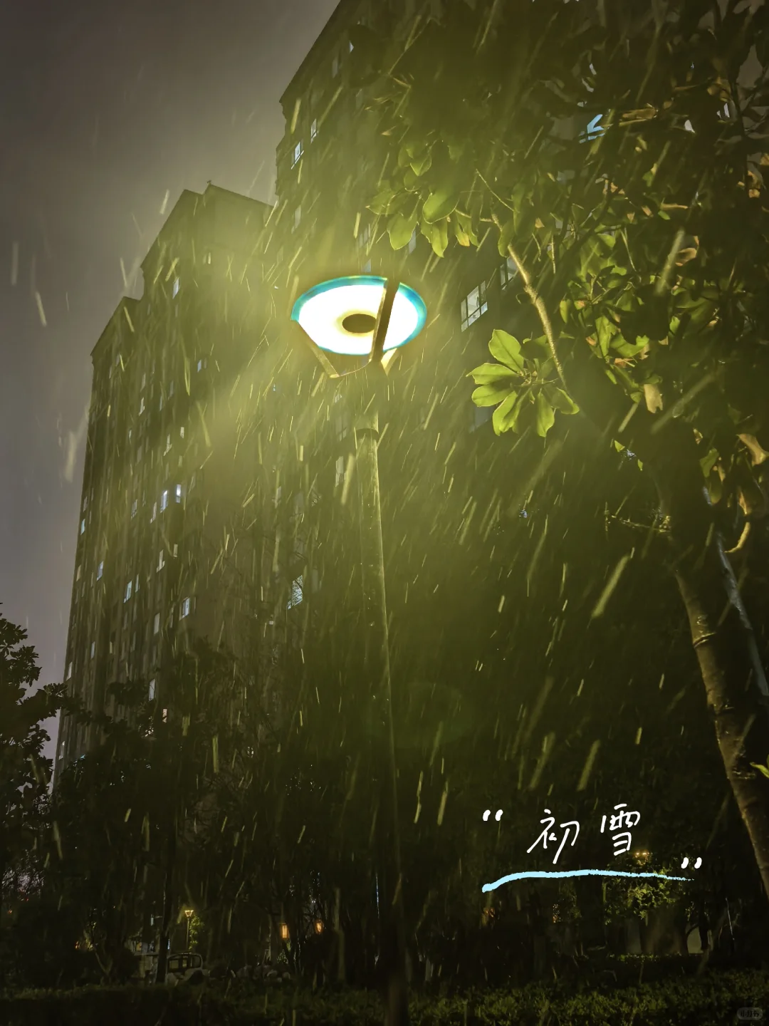 徐州今天的雪🌨️