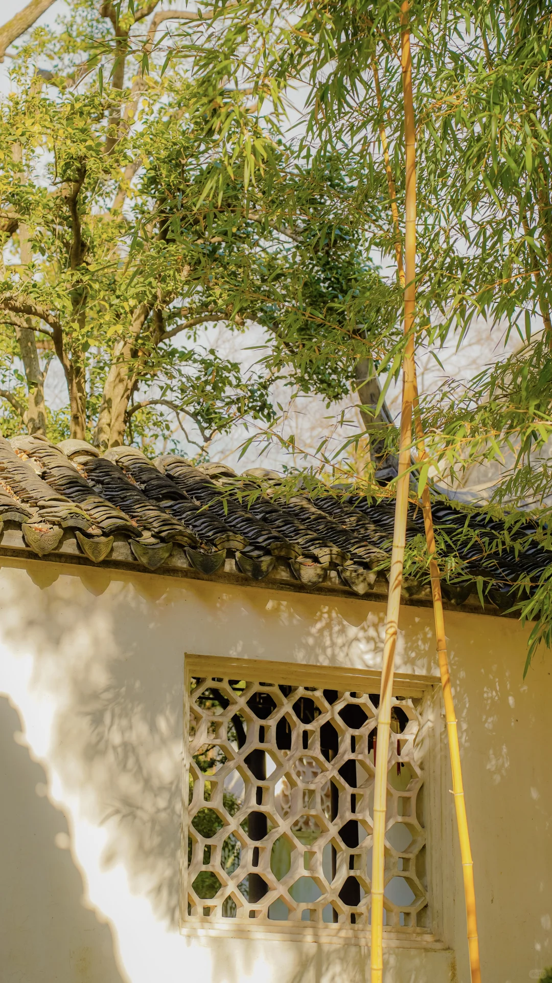 永远惊叹于老祖宗骨子里不灭的极致审美！！