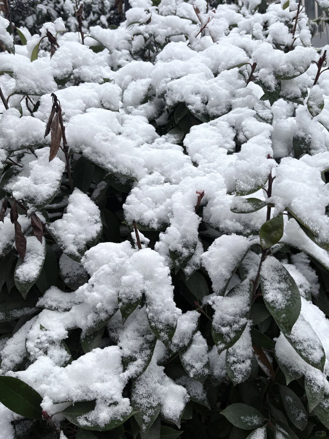 徐州的人工降雪