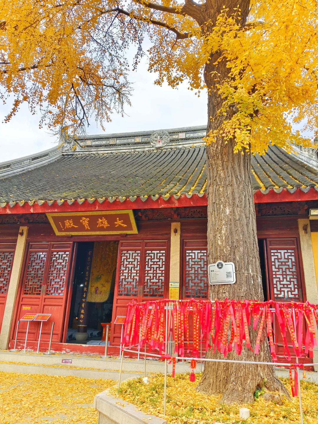 藏在苏州小巷里的浪漫