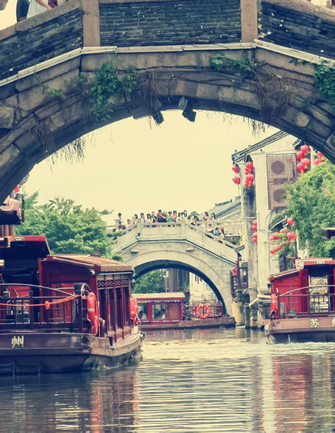 江南春｜“一朝入姑苏,满眼是江南”