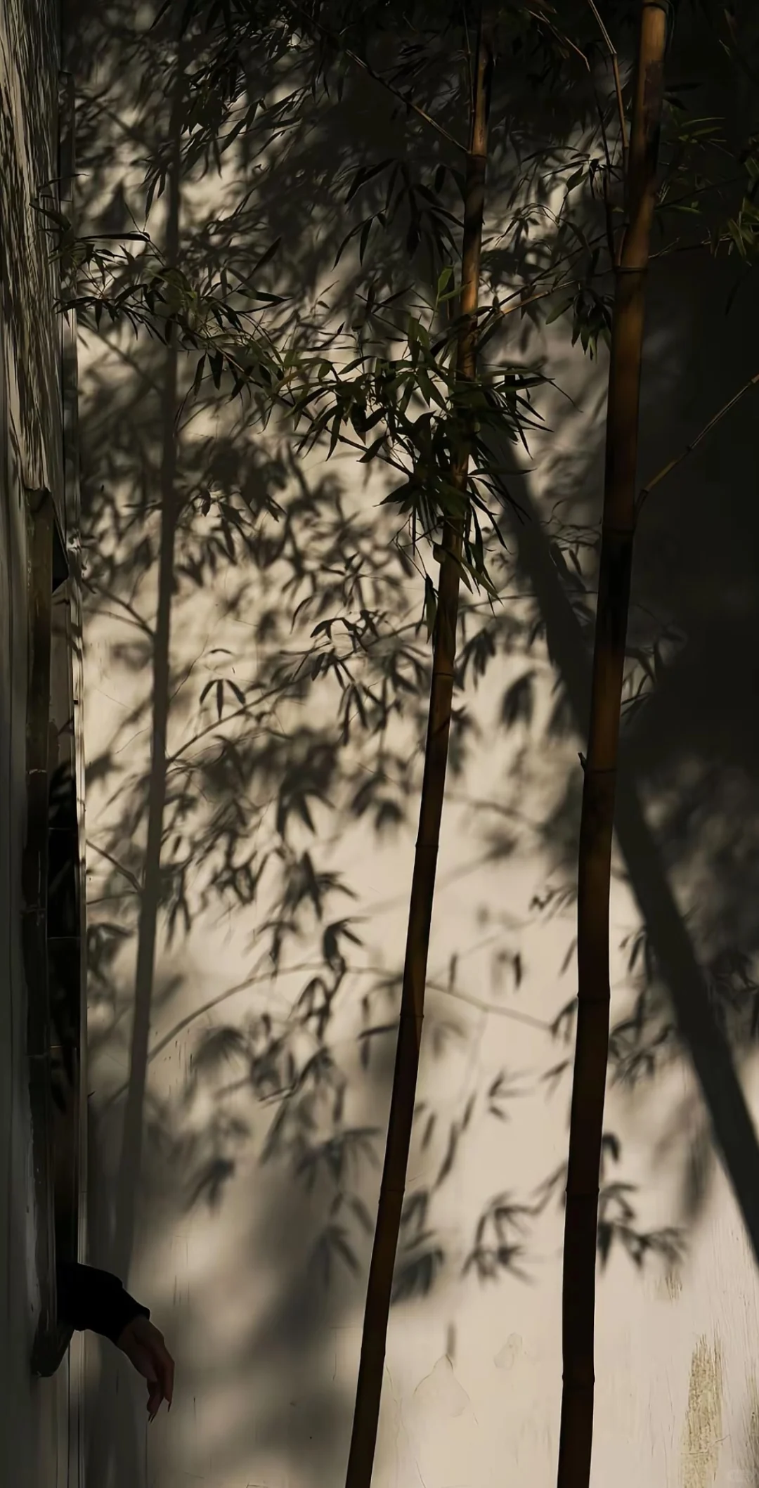 苏州是我还想去第二次的地方