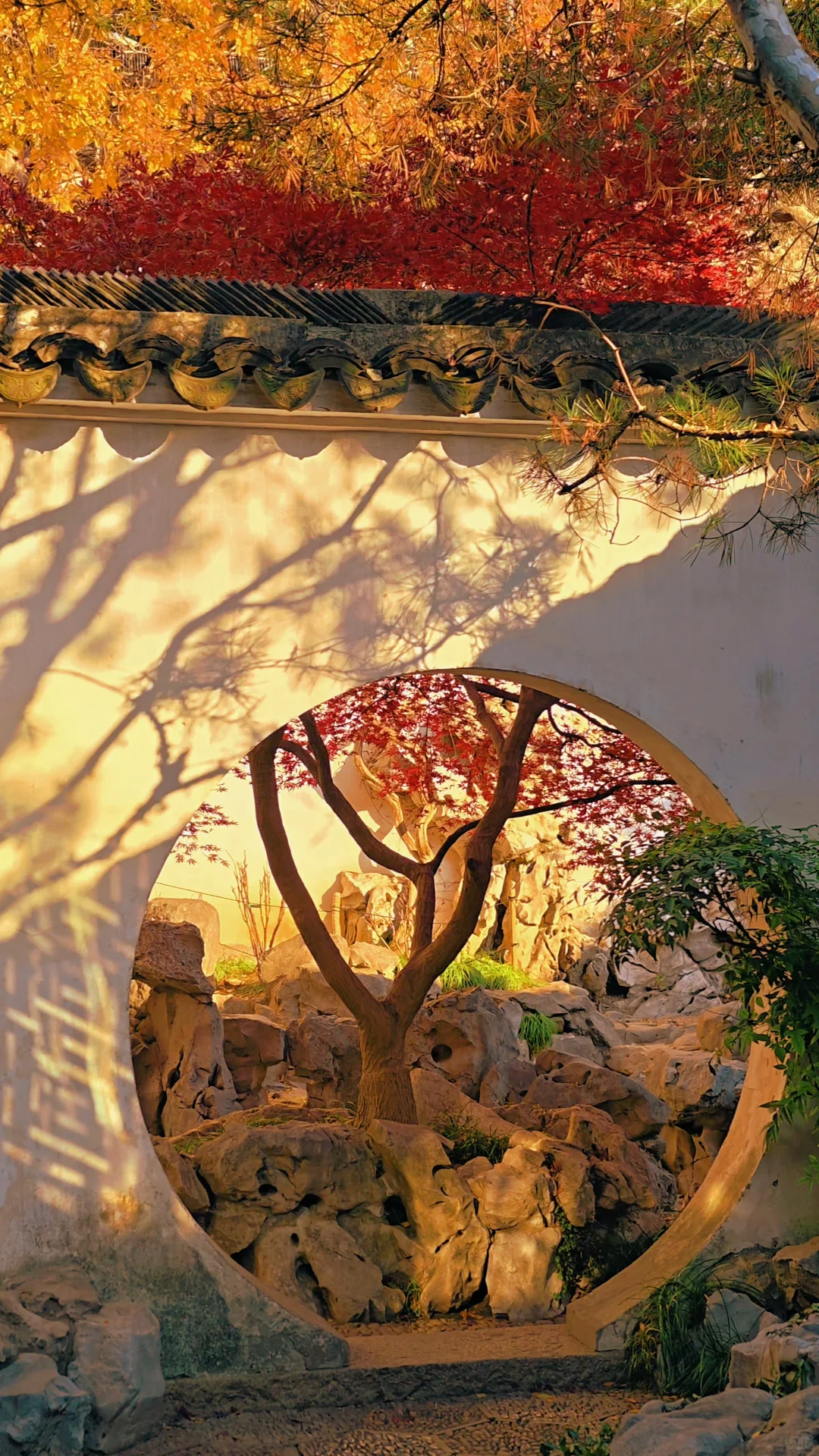 永远惊叹于老祖宗骨子里不灭的极致审美！！