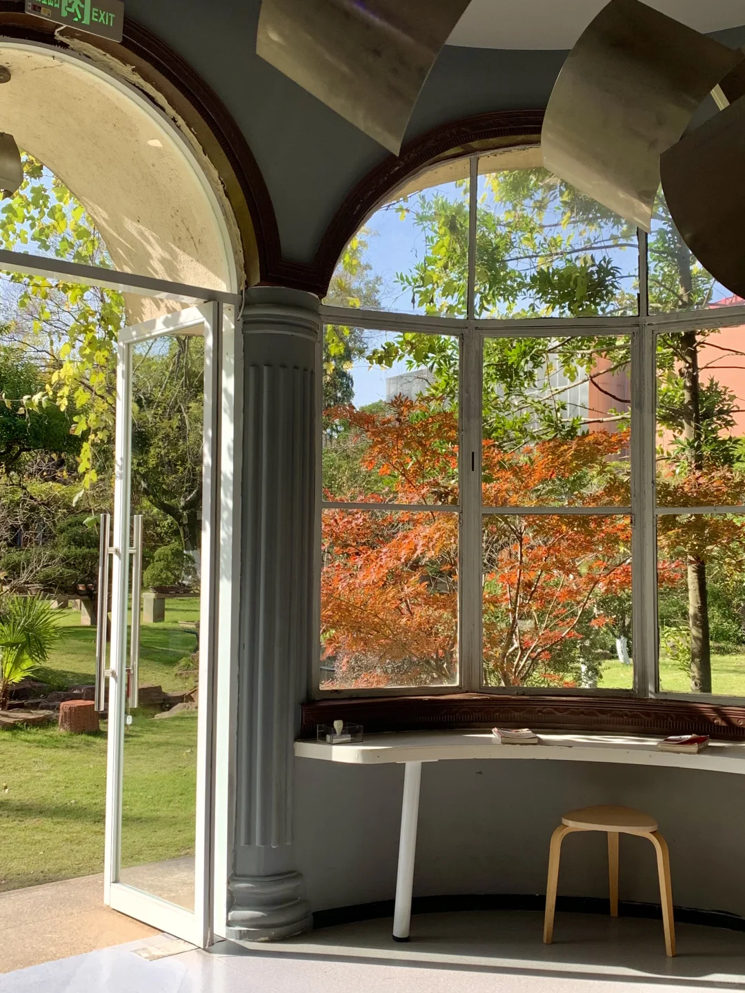 南京赏秋现状，12月想去的姐妹尽早改行程！！！