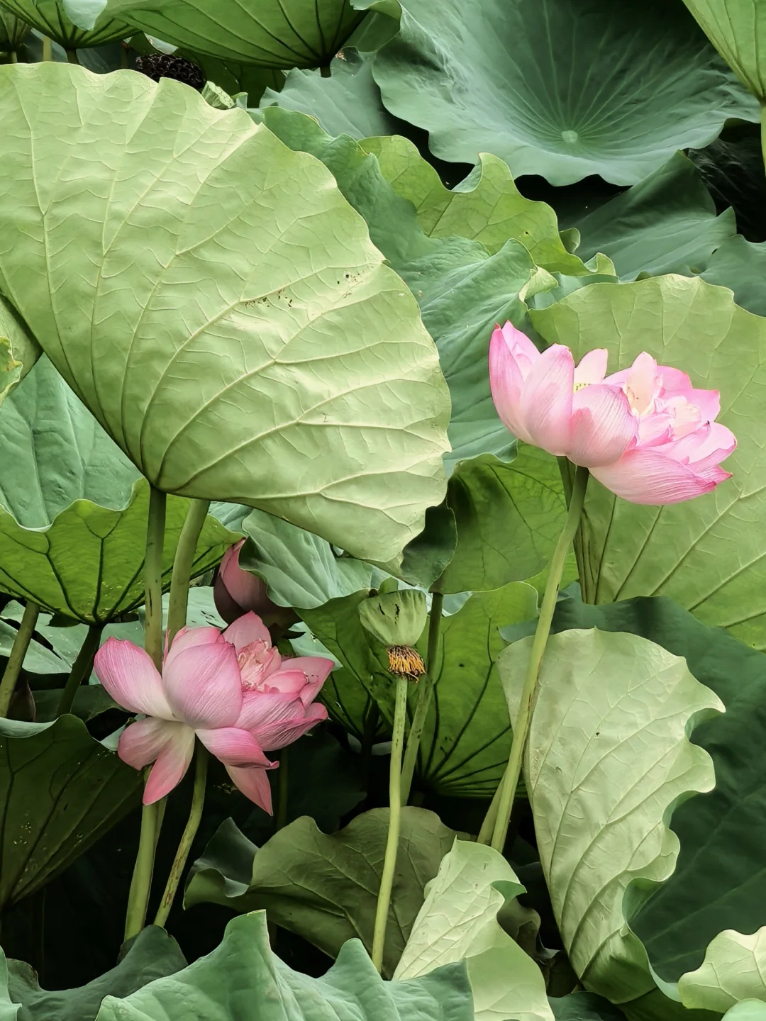济南到徐州一日游