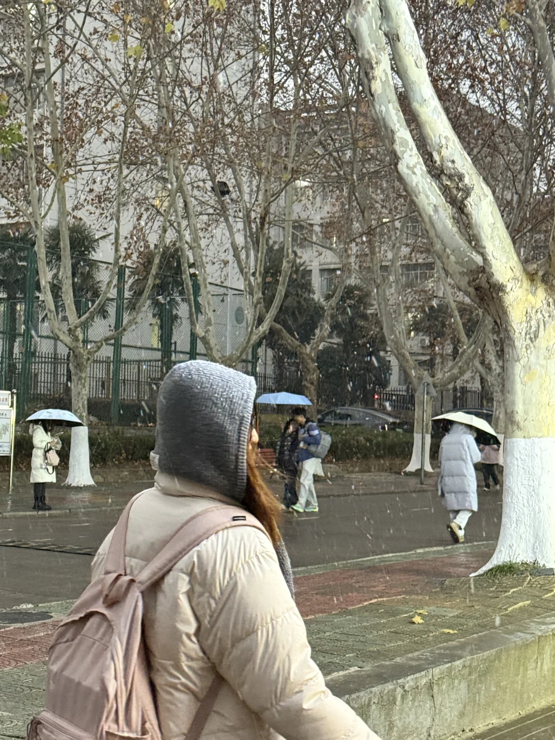 居然看见徐州下雪了❄️