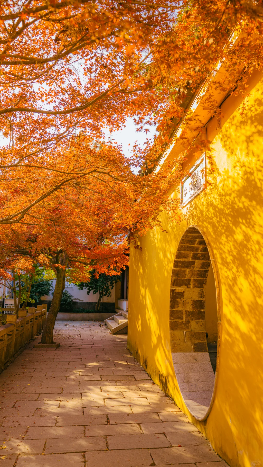 永远惊叹于老祖宗骨子里不灭的极致审美！！