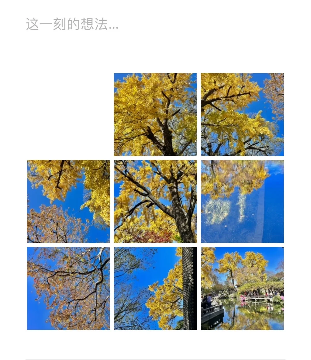 秋日园林看苏州-留园实拍