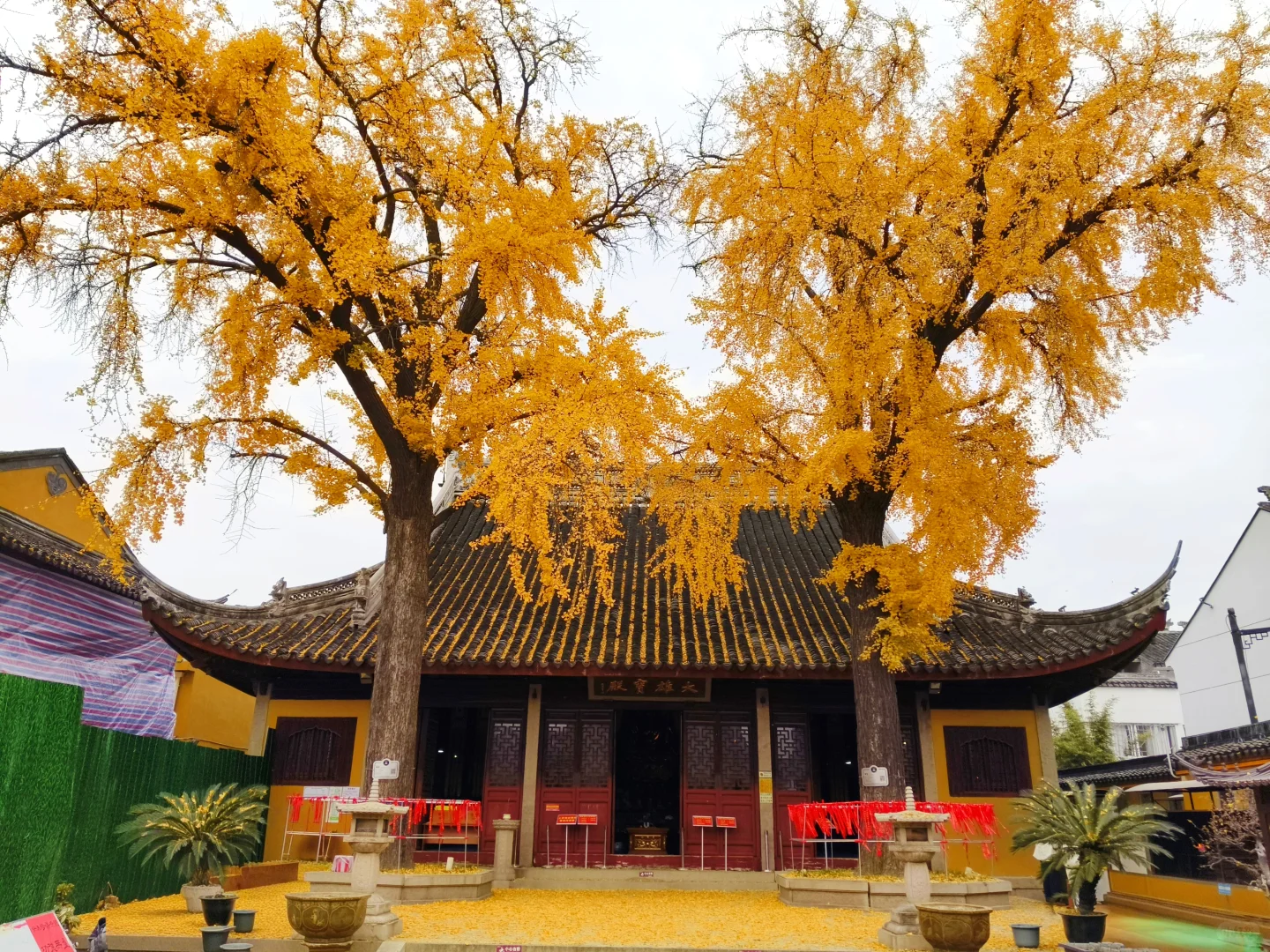 藏在苏州小巷里的浪漫